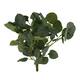 Branch eucalyptus artificial 40x35x5cm - Green