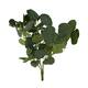 Branch eucalyptus artificial 40x35x5cm - Green