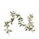 Leaf artificial with hanger 170x5x5cm - Green