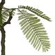Plant fern artificial 120x55x55cm