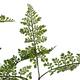 Plant fern artificial 125x50x50cm - Green