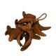 Hanger elephant ear nature 50x20x10cm - Natural