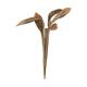 Branch shoe horn nature 67x20x8cm 5pc
