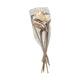 Branch shoe horn nature 67x20x8cm 5pc