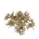 Tree dry small in tray nature 38x18x7.5cm 15pc - Natural