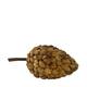 Stick betal pod dino cone nature 40x20x19cm - Natural