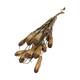 Branch with mahogany coco 65x20x10cm