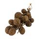 Branch with mintola ball coco 65x20x10cm - Natural