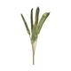 Branch step fruit vizy rope with wire nature 100x20x4cm 5pc