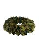 Wreath palm petal nature 37x37x8cm