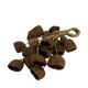 Hanger palm pod nature 55x22x13cm 20pc