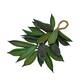 Hanger mini boat nature 50x20x12cm - Green