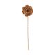 Flower landlotus nature 70x15x15cm - Natural