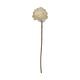 Flower sola lotus nature 65x12x12cm - White