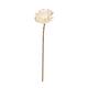 Flower sola new beauty rose kadam centre nature 65x12x12cm - Cream