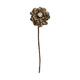 Flower sola belli nature 65x12x12cm - Cream