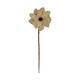 Flower luffa nature 75x15x15cm