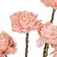Flower sola dahlia coco 55x6x6cm 5pc