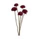 Flower sola dahlia coco 55x6x6cm 5pc - Purple