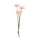 Flower sola dahlia coco 55x10x10cm 3pc - Pink