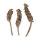 Stick palm female bundle with vizy rope nature 11x5x30cm - Cream