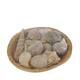 Shell in round bowl nature 13x13x5cm 90gr