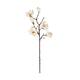 Branch magnolia artificial 65x23x6cm - White