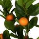 Tree mandarin artificial 70x70x150cm - Orange