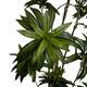 Plant bamboo artificial 90x90x210cm - Green