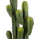 Plant cactus artificial 37x37x130cm
