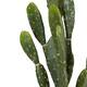Plant cactus artificial 30x20x99cm