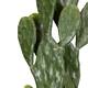 Plant cactus artificial 40x30x126cm