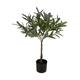 Tree olive artificial 40x60x75cm - Green