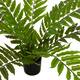 Plant fern artificial 140x140x70cm - Green