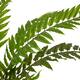 Plant fern artificial 140x140x70cm - Green