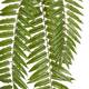 Plant fern artificial 180x40x8cm - Green