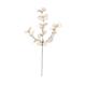 Branch eucalyptus artificial 81x25x13cm - Cream