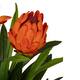 Flower protea artificial 80x75x116cm - Orange