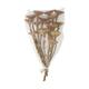 Protea compacta flats 15pc 37x20x10cm - Natural