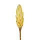 Protea gold cup 15pc 37x20x10cm - Cream
