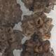 Spidergum knobs loose 250gr 28x12x6cm