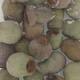 Bellgums loose 250gr 28x12x4cm