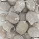 Bellgums loose 250gr 28x12x4cm - White