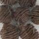 Platyspermum heads medium loose 250gr 28x12x6cm