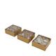 Shell mix nature 12x12x5.5cm A/3