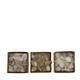 Shell mix nature 12x12x5.5cm A/3