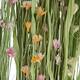 Flower sola nature 18x5x100cm C4 - Multi