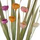 Flower sola nature 17x5x100cm C4 - Multi