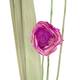 Flower sola nature 17x5x100cm C4 - Multi