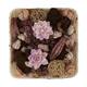 Potpourri with acacia plate nature 25.5x25.5x8cm